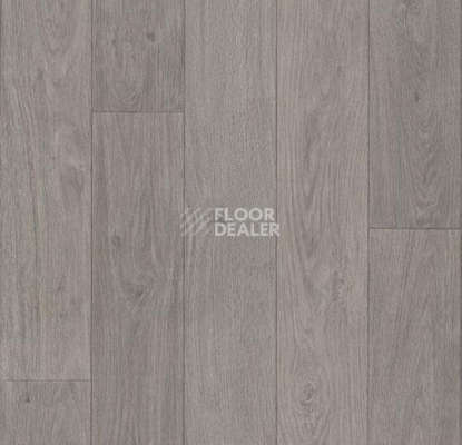Линолеум Forbo Eternal Wood 12862 grey oak фото 1 | FLOORDEALER